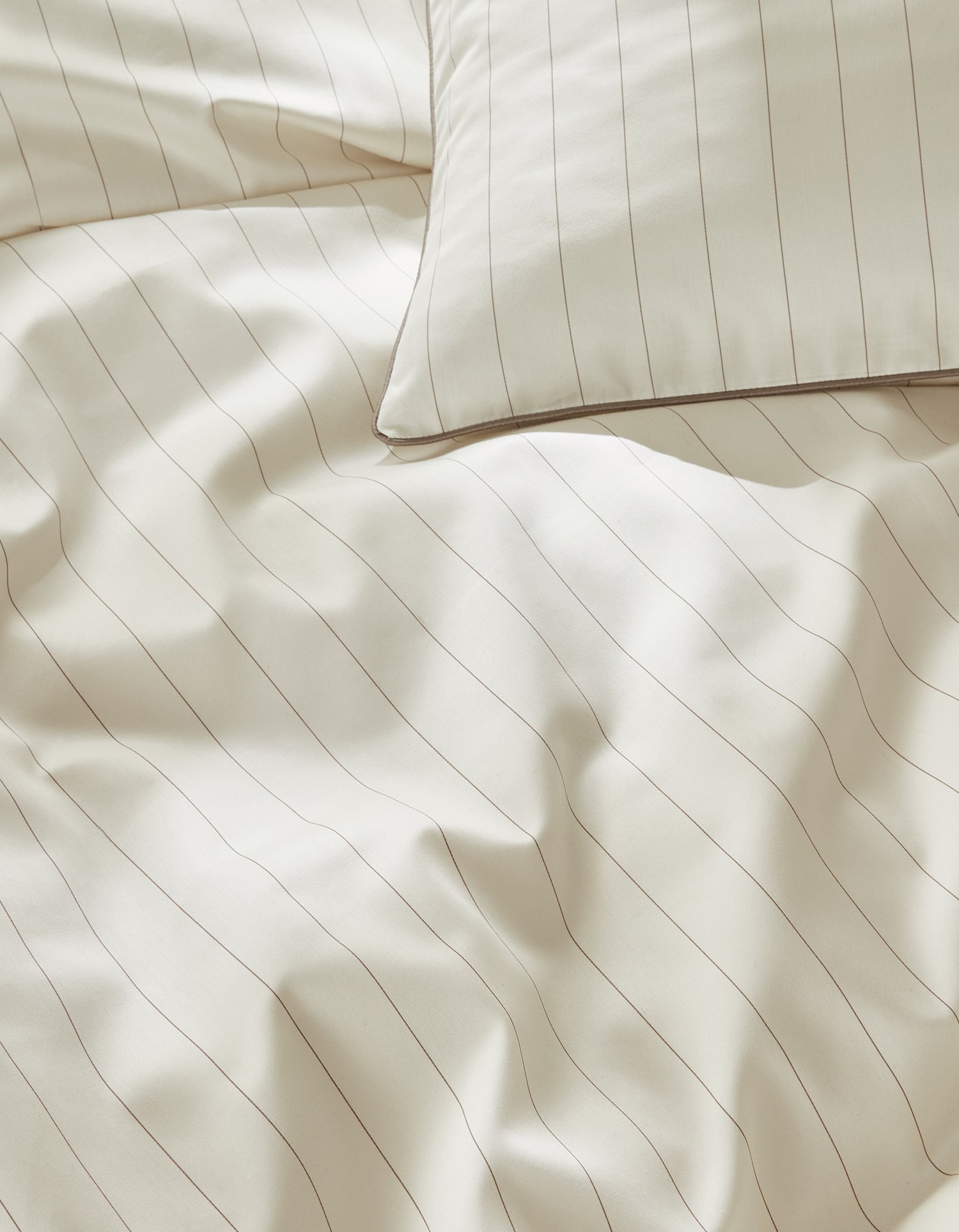 Drap plat Satin de coton 200 fils - Rayé Bronze