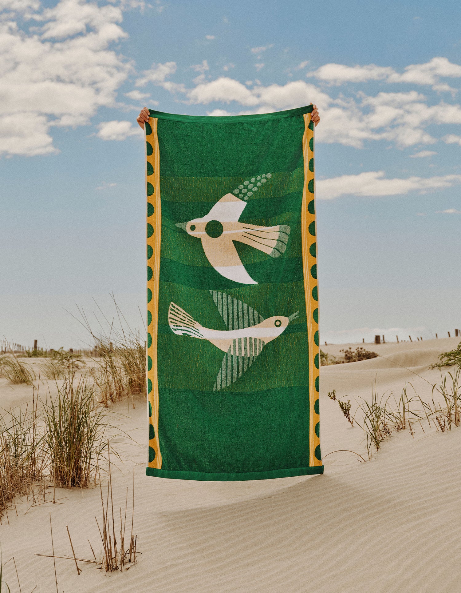 Serviette de plage - Oiseau Odyssée