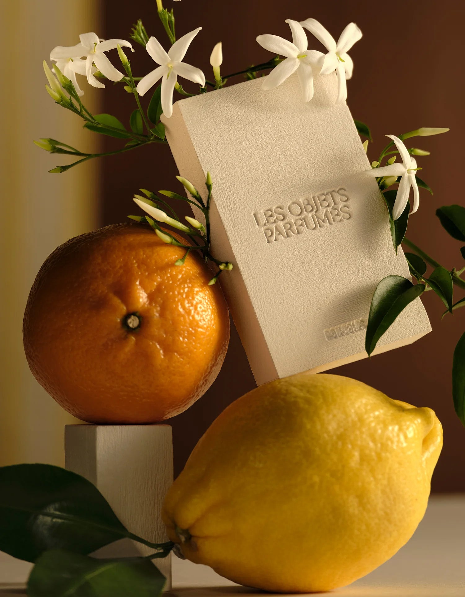 Le Coffret Délicat - Énergie Dorée