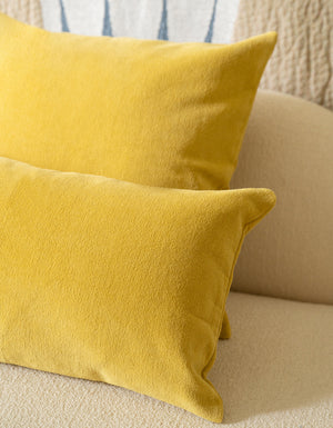 The Square Velvet Cushion