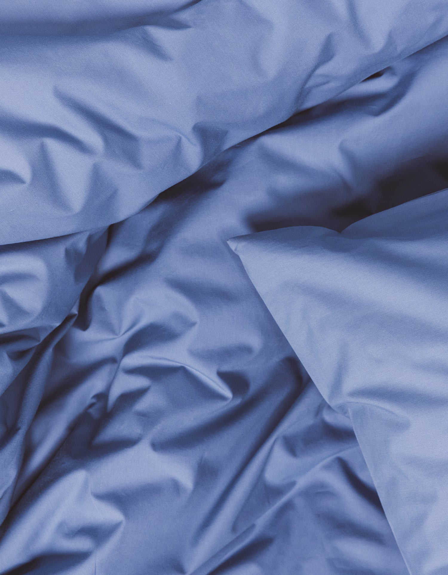 Taies d'oreiller x2 Percale de coton 120 fils - Bleu Lavande